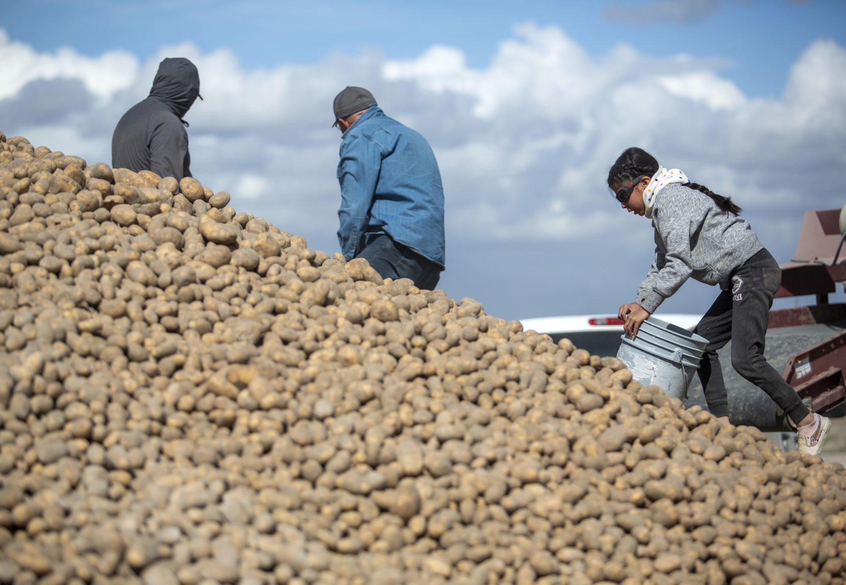 Potato farmers unable to sell all of their inventory